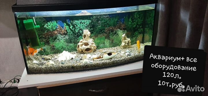 Аквариум