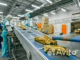 Упаковщики чипсов. Вахта