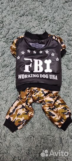 Одежда для собак