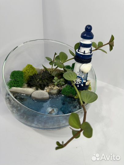Флорариум с водоемом+подарочная упаковка
