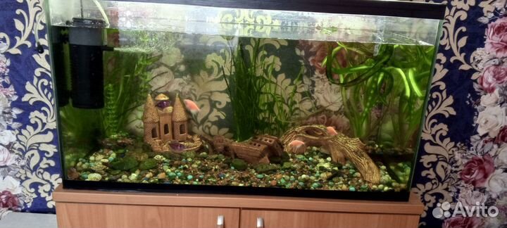 Аквариум