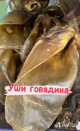 Мясо для собак