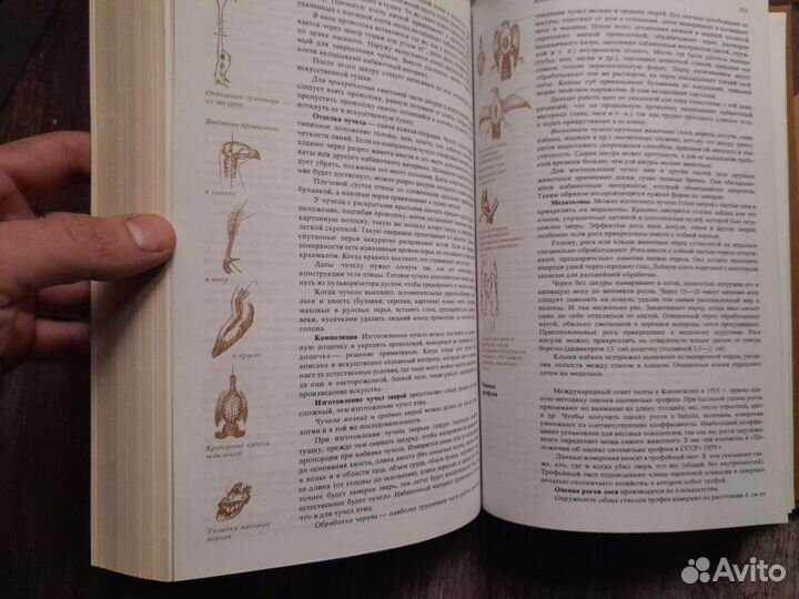 Спортивная охота в СССР