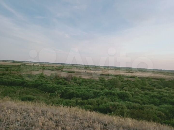 Участок 31 га (СНТ, ДНП)