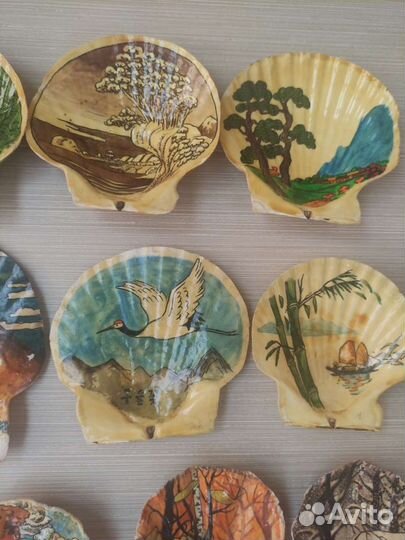 Морские ракушки раковины