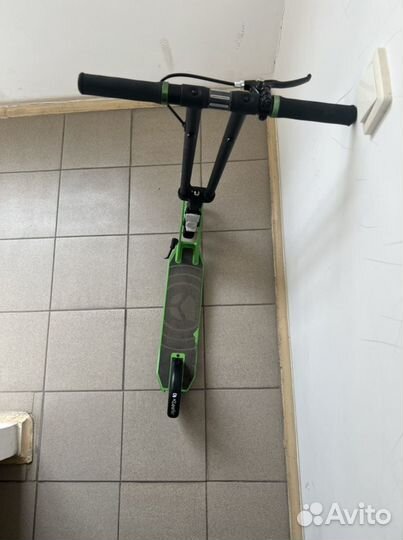 Самокат взрослый kleefer