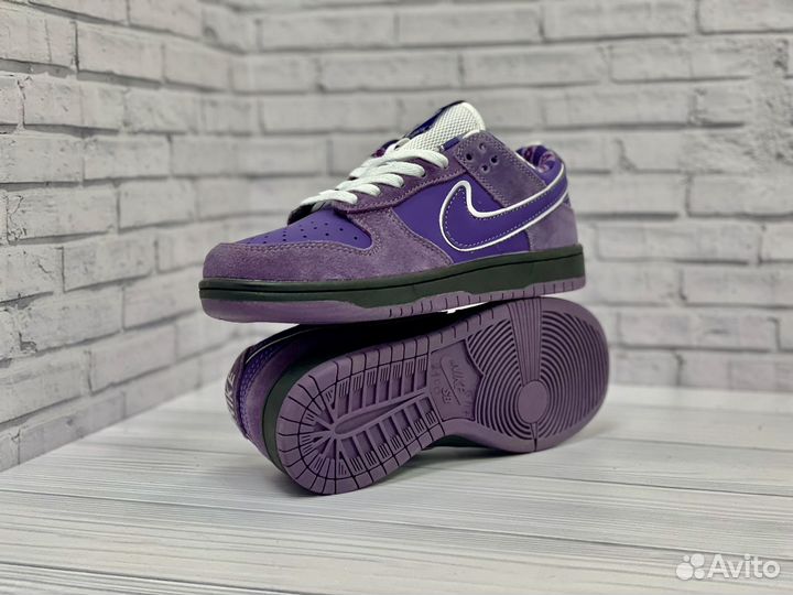 Кроссовки Nike sb dunk low concepts purple lobster