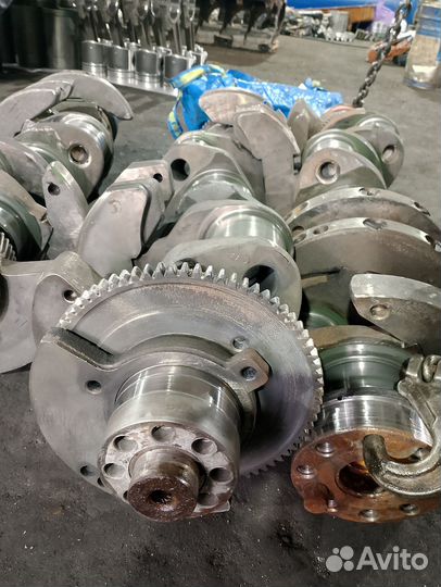 Колено 8435 (р0)