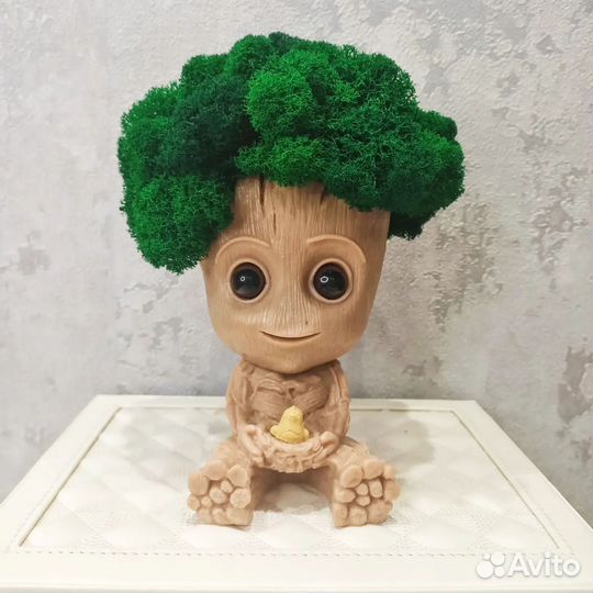 Грут с пышной шапкой мха