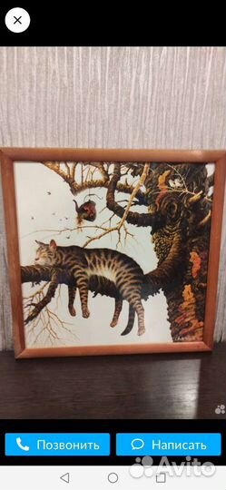 Картины и постеры кошки