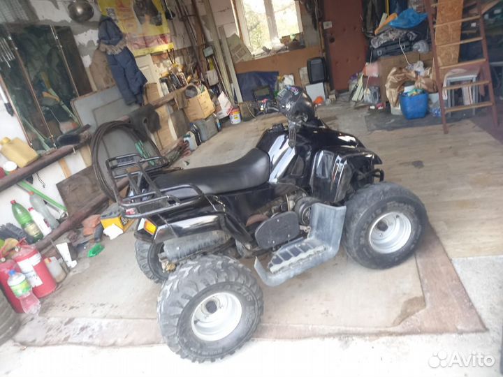 Квадрик Stels 110