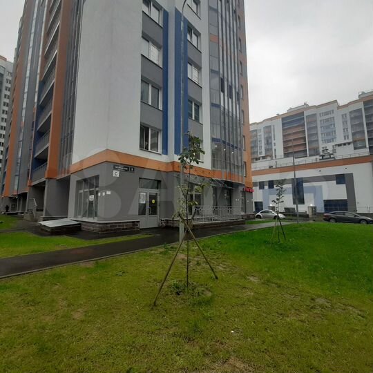 Свободного назначения, 50 м²