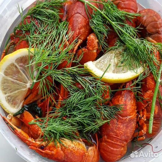 Раки живые