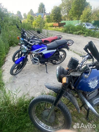 Альфа rx11 2019