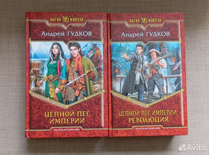 Книга Андрей Гудков 