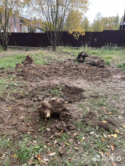 Приму грунт