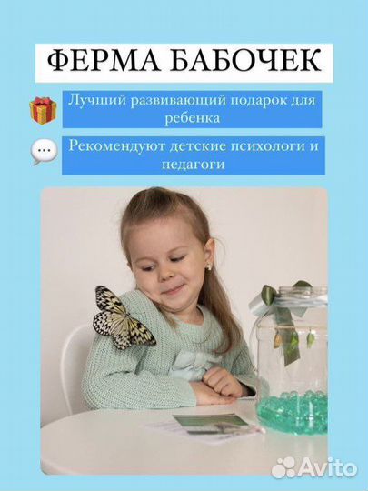 Ферма для выращивания бабочек