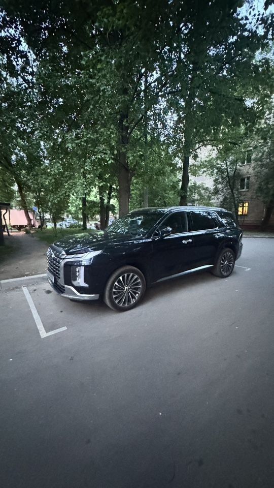 Hyundai Palisade: фото владельца