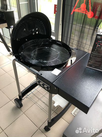 Гриль угольный Weber Performer Original GBS