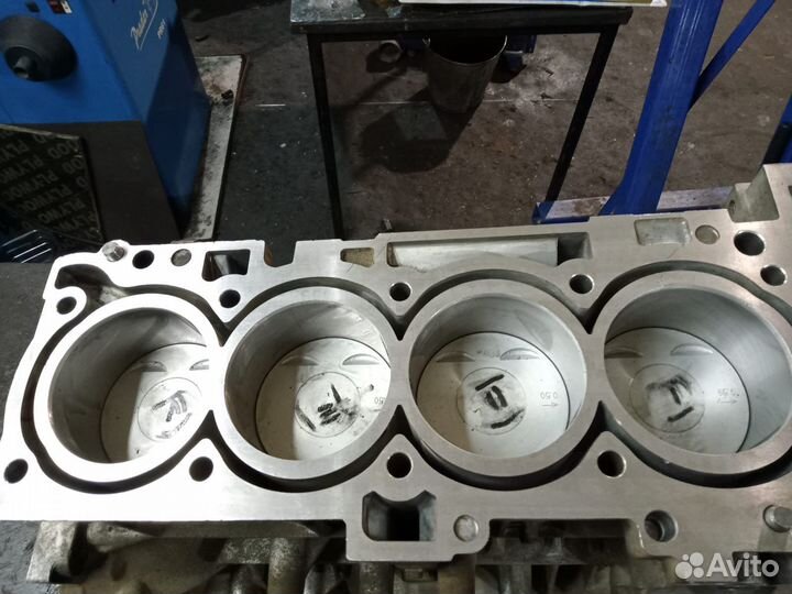 Шорт блок g4kd