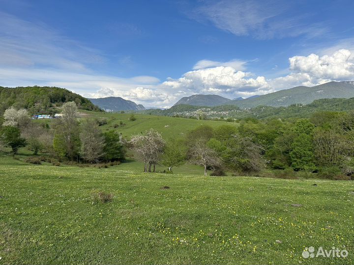 Йога поход на Сухой каньон