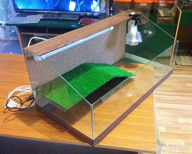 Аквариум