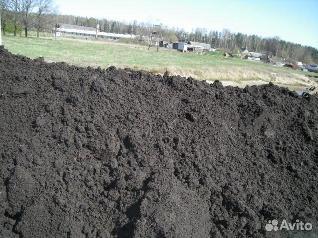 Чернозем