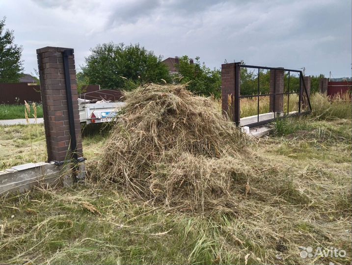 Сено солома