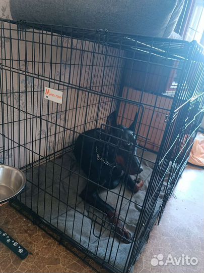 Клетка для собак