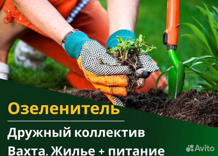 Вахта 60/30 Жильё питание (Озеленитель )