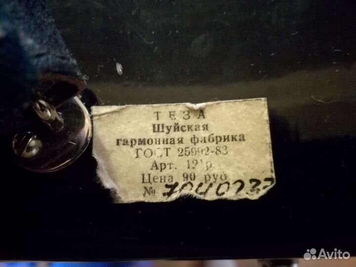 Аккордеон 1/2 юность-3