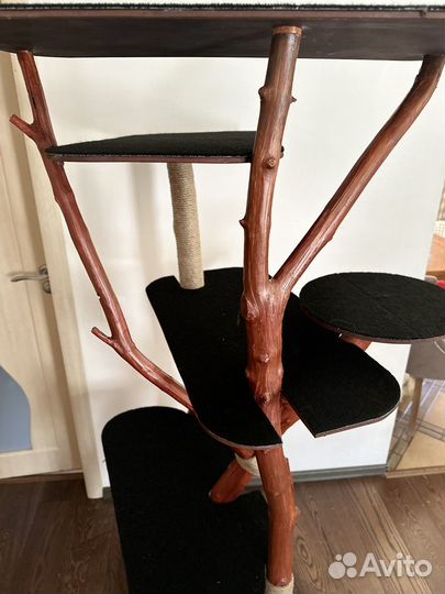 Когтеточка для кошек новая