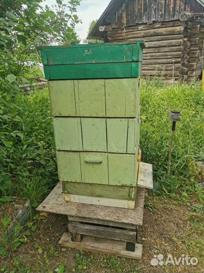 Улей для пчел 3х этажный с рамками