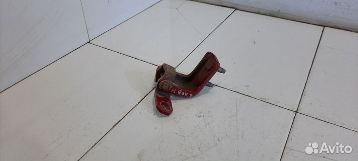 Петля двери задняя левая нижняя