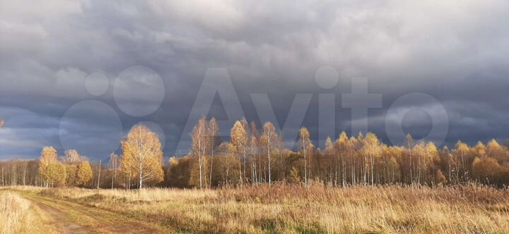 Участок 73 га (СНТ, ДНП)