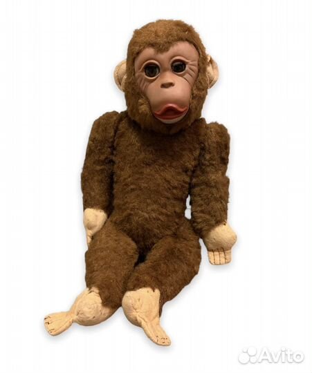 Обезьяна гдр