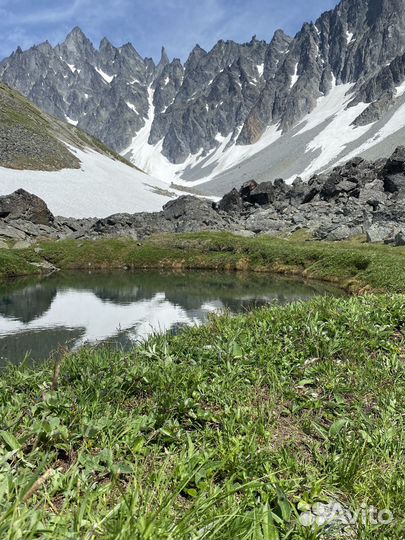 Ганальские востряки