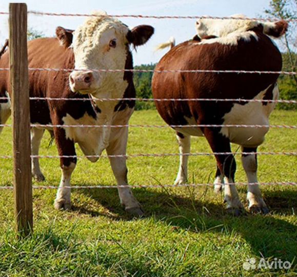 Электропастух с питанием от 12в/220в. Гарантия