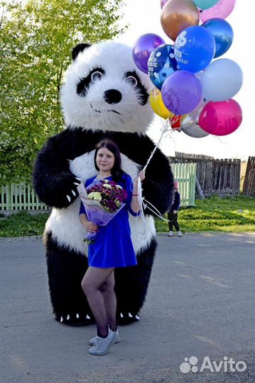 Поздравление белого медведя, панды