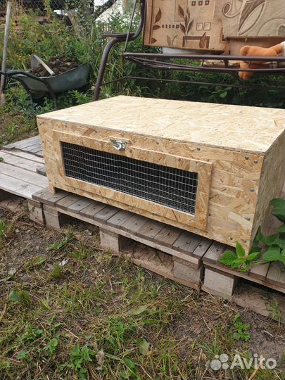 Брудер для цыплят (перепелов )