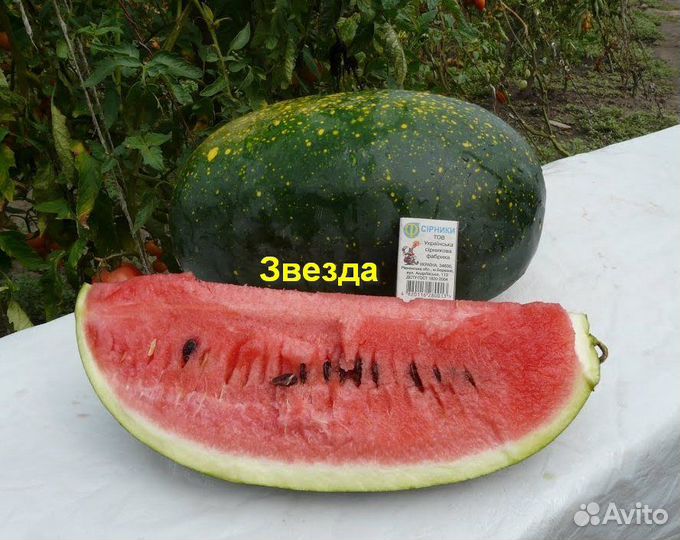 Арбузы космические - 3 сорта 50+ семян