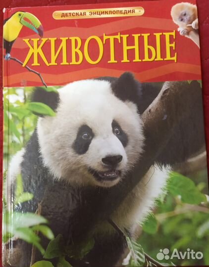Детские энциклопедии и книги пакетом