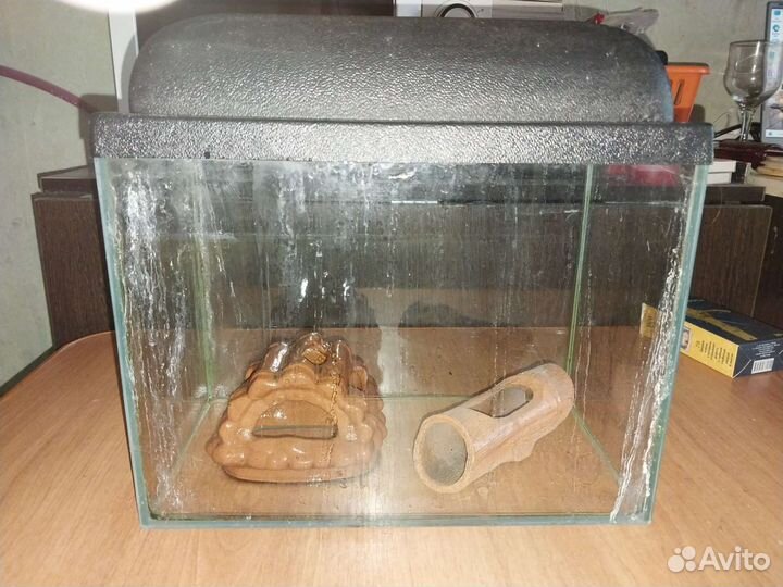 Аквариум