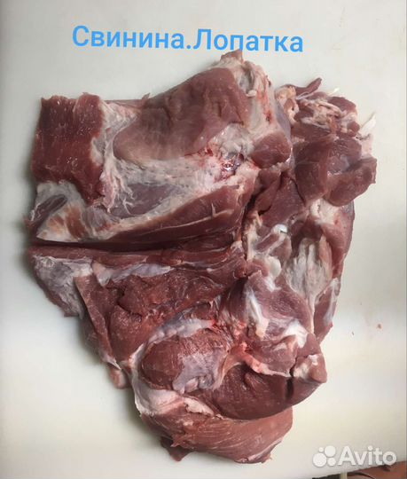 Оптовые поставки свинины в разделке и в туше
