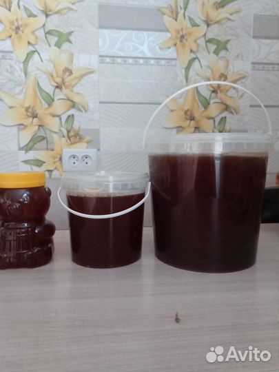 Мед алтайский