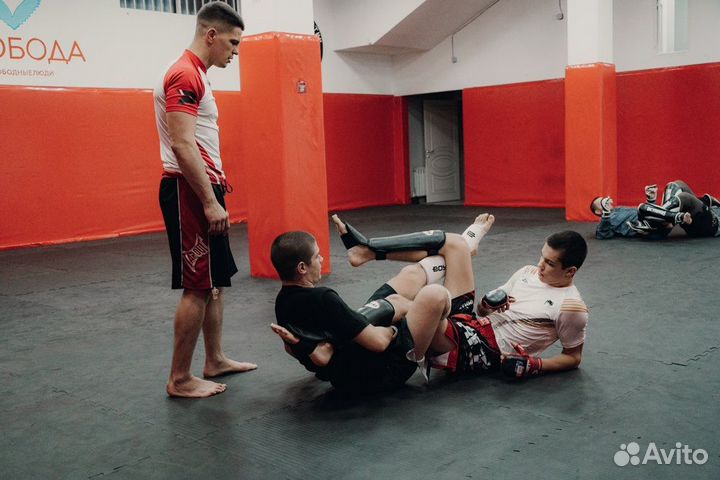 Тренировки мма/смешанные единоборства