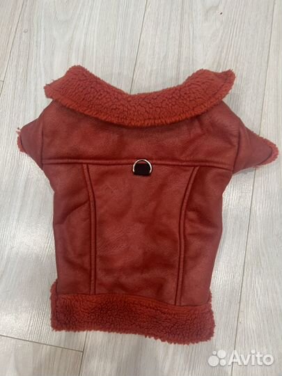 Одежда на маленькую собаку