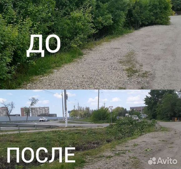 Расчистка участков, спил деревьев, покос травы