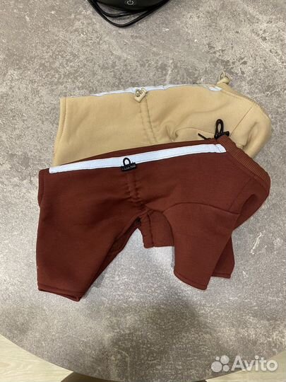 Одежда для собак