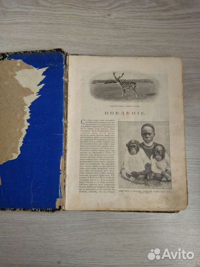 Антикварные книги